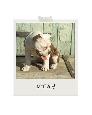 UTAH